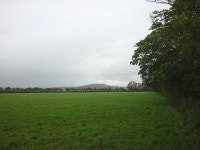 Pasture on Foulshaw Moss © Karl and Ali :: Geograph Britain and Ireland Pasture on Foulshaw Moss &copy; Karl and Ali