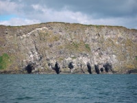 The Seven Sisters caves at The Gobbins © Rossographer :: Geograph Britain and Ireland The Seven Sisters caves at The Gobbins... 
