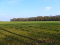 Farmland, Baughurst © Andrew Smith :: Geograph Britain and Ireland Farmland, Baughurst &copy; Andrew Smith