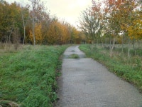 New woodland © Jonathan Kington :: Geograph Britain and Ireland New woodland &copy; Jonathan Kington