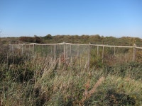 Spurn Point Heligoland trap © Hugh Venables cc-by-sa/2.0 :: Geograph Britain and Ireland Spurn Point Heligoland trap &copy; Hugh... 