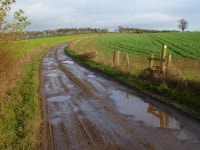 Track and farmland, South Cowton © Andrew Smith cc-by-sa/2.0 :: Geograph Britain and Ireland Track and farmland, South Cowton... 