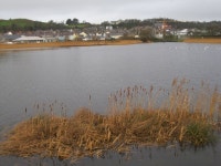 Pwllheli dros yr harbwr mewnol -... © Alan Fryer :: Geograph Britain and Ireland Pwllheli dros yr harbwr mewnol -... &copy; Alan... 