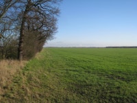 View over Misson Carr © Jonathan Thacker :: Geograph Britain and Ireland View over Misson Carr &copy; Jonathan Thacker