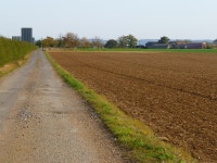 Farm-road and farmland, Great Milton © Andrew Smith cc-by-sa/2.0 :: Geograph Britain and Ireland Farm-road and farmland, Great... 