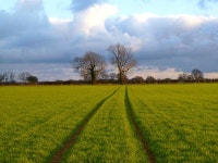 Farmland, Ashley Green © Andrew Smith cc-by-sa/2.0 :: Geograph Britain and Ireland Farmland, Ashley Green &copy; Andrew Smith cc... 