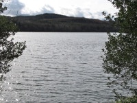 View south across Castlewellan Lake © Eric Jones :: Geograph Britain and Ireland View south across Castlewellan Lake &copy; Eric... 
