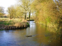 River Ebble, Bishopstone © Maigheach-gheal cc-by-sa/2.0 :: Geograph Britain and Ireland River Ebble, Bishopstone... 