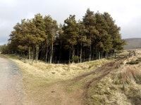 Track junction at Murder Cleugh © Andrew Curtis cc-by-sa/2.0... Track junction at Murder Cleugh &copy; Andrew Curtis cc-by-sa/2.0