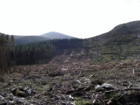 Clear fell area on the slopes of... © Eric Jones cc-by-sa/2.0 :: Geograph Britain and Ireland Clear fell area on the slopes of..... 