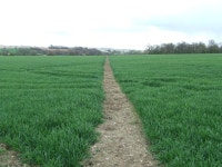 Footpath © Keith Evans :: Geograph Britain and Ireland Footpath &copy; Keith Evans