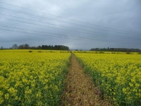 Footpath across fields in April © Jeremy Bolwell :: Geograph Britain and Ireland Footpath across fields in April &copy; Jeremy... 