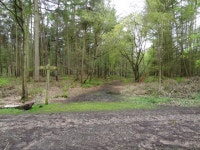 Intersection of paths © Bryan Pready cc-by-sa/2.0 :: Geograph Britain and Ireland Intersection of paths &copy; Bryan Pready cc... 