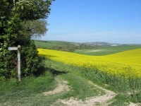 View from the South Downs Way © Chris Heaton cc-by-sa/2.0 :: Geograph Britain and Ireland View from the South Downs Way... 