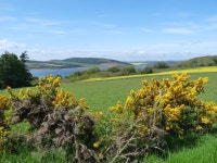 Munlochy Bay across the fields from the... © Alan Reid :: Geograph Britain and Ireland Munlochy Bay across the fields from the..... 