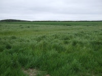 Farmland off the A1061 (C) JThomas :: Geograph Britain and Ireland Farmland off the A1061 (C) JThomas