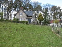 Tyn-y-coed Farm © David Purchase :: Geograph Britain and Ireland Tyn-y-coed Farm &copy; David Purchase