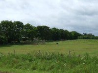 Grazing land off the A1087 © JThomas cc-by-sa/2.0 :: Geograph Britain and Ireland Grazing land off the A1087... 