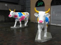 Cow sculptures, Omagh © Kenneth Allen :: Geograph Britain and Ireland Cow sculptures, Omagh &copy; Kenneth  Allen