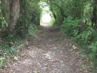 The Fosseway Byway © James Ayres cc-by-sa/2.0 :: Geograph Britain and Ireland The Fosseway Byway &copy; James Ayres cc-by-sa/2.0