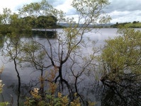 Lough Fea (2) © Kenneth  Allen :: Geograph Britain and Ireland Lough Fea (2) &copy; Kenneth  Allen
