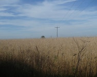Field scene © Andrew Hill :: Geograph Britain and Ireland Field scene &copy; Andrew Hill