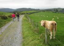 Byway to Aberhosan © Derek Harper :: Geograph Britain and Ireland Byway to Aberhosan &copy; Derek Harper