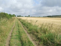 Footpath And Field © Keith Evans :: Geograph Britain and Ireland Footpath And Field &copy; Keith Evans