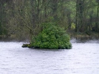 Isle on Lough Muck © Kenneth Allen cc-by-sa/2.0 :: Geograph Britain and Ireland Isle on Lough Muck &copy; Kenneth  Allen cc-by... 