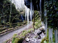 Icicles, Sloughan Glen © Kenneth  Allen :: Geograph Britain and Ireland Icicles, Sloughan Glen &copy; Kenneth  Allen