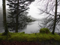 Lough-a-Tirrive, Killens, Mountfield © Kenneth  Allen :: Geograph Britain and Ireland Lough-a-Tirrive, Killens, Mountfield... 