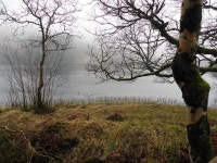 Lough-a-Tirrive, Aghalane, Mountfield © Kenneth  Allen :: Geograph Britain and Ireland Lough-a-Tirrive, Aghalane, Mountfield... 