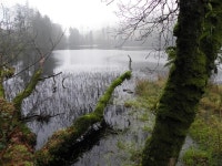 Lough-a-Tirrive, Mountfield © Kenneth  Allen :: Geograph Britain and Ireland Lough-a-Tirrive, Mountfield &copy; Kenneth  Allen