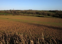 Field near Roborough © Derek Harper cc-by-sa/2.0 :: Geograph Britain and Ireland Field near Roborough &copy; Derek Harper cc-by... 