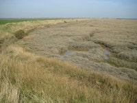 Wallasea Island: Brankfleet Reach... © Nigel Cox cc-by-sa/2.0 :: Geograph Britain and Ireland Wallasea Island: Brankfleet Reach.... 