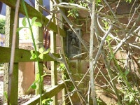 Flush Bracket G3462 - Langley House © Richard Law :: Geograph... and Ireland Flush Bracket G3462 - Langley House &copy; Richard Law