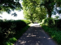 A shaded country road at Ranelly © Kenneth Allen :: Geograph Britain and Ireland A shaded country road at Ranelly &copy; Kenneth... 