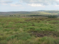 Grouse moor on the Lammermuir Hills © M J Richardson cc-by-sa/2.0 :: Geograph Britain and Ireland Grouse moor on the Lammermuir... 
