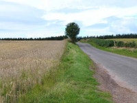 The road to Balrownie © Oliver Dixon cc-by-sa/2.0 :: Geograph Britain and Ireland The road to Balrownie &copy; Oliver Dixon cc... 