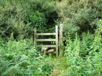 Stile into Glol woodland © Maggie Cox :: Geograph Britain and Ireland Stile into Glol woodland &copy; Maggie Cox