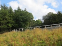 Cycle path, Abercorn © Richard Webb cc-by-sa/2.0 :: Geograph Britain and Ireland Cycle path, Abercorn &copy; Richard Webb cc-by... 
