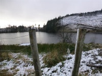 Lough-a-Tirrive, Killins (10) © Kenneth  Allen cc-by-sa/2.0 :: Geograph Britain and Ireland Lough-a-Tirrive, Killins (10)... 