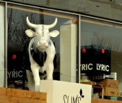 Cowtanic, Belfast © Albert Bridge :: Geograph Britain and Ireland Cowtanic, Belfast &copy; Albert Bridge