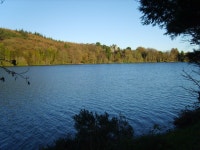 View north-eastwards across Castlewellan... © Eric Jones :: Geograph Britain and Ireland View north-eastwards across... 