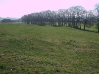 Round barrows, Monkton Down © Vieve Forward :: Geograph Britain and Ireland Round barrows, Monkton Down &copy; Vieve Forward