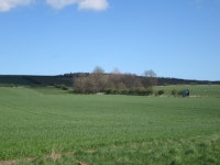 Arable field north of Doddington © Graham Robson cc-by-sa/2.0 :: Geograph Britain and Ireland Arable field north of Doddington... 