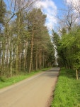 Road to Fountains Abbey © Derek Harper cc-by-sa/2.0 :: Geograph Britain and Ireland Road to Fountains Abbey &copy; Derek Harper... 
