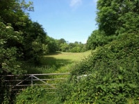 Meadow by the John Musgrave Heritage... © Derek Harper cc-by-sa/2.0 :: Geograph Britain and Ireland Meadow by the John Musgrave... 