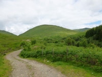 Track towards Beinn Chaorach (mountain... © Alan ODowd cc-by-sa/2.0 :: Geograph Britain and Ireland Track towards Beinn... 