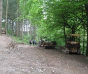 Into the shade at Birchen... © Martin Richard Phelan cc-by-sa/2.0 :: Geograph Britain and Ireland Into the shade at Birchen...... 